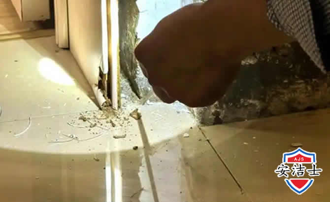 澄迈房屋建筑防治白蚁