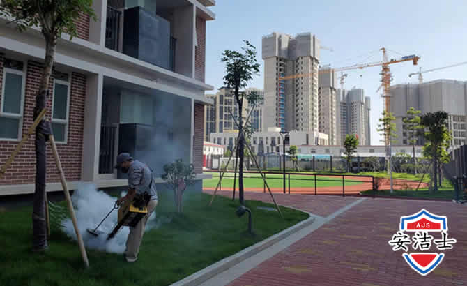 澄迈工厂工地除白蚁