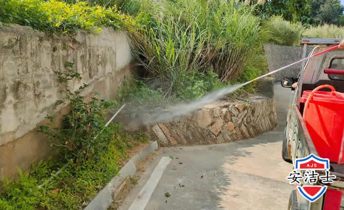 澄迈道路堤坝白蚁防治