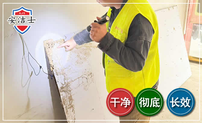 澄迈除白蚁现场